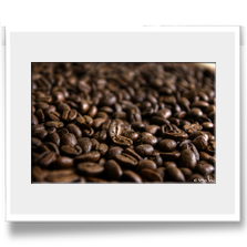 .: Just Coffee Beans :.