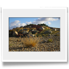 .: Findlingspark I :.