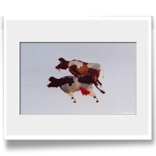 .: K�nnen K�he fliegen? :.